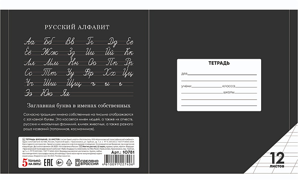 Тетрадь 12 листов в косую линию ЧЕРНАЯ, обложка из мелованного картона (200г/м2), блок офсет (92%, 60г/м2)